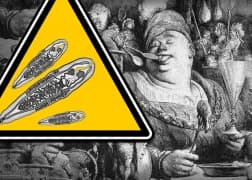  Не перекармливайте паразитов 